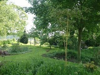 Een van de vele doorkijken ............ergens in mei............. ** Klik voor vergroting **